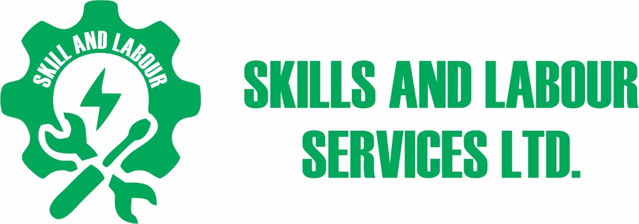 Skills and Labour Logo